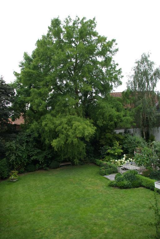 Huyze Weyne Bed & Breakfast